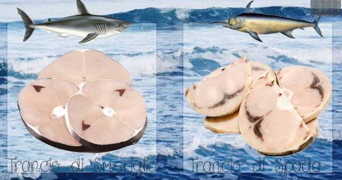 Poco fresco, allevato o diverso: tutti i segreti e le "fregature" del pesce acquistato